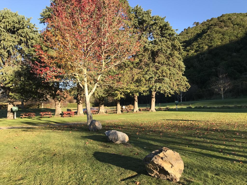 Parklands Marina Holiday Park Picton Esterno foto