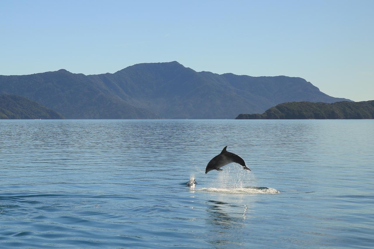 Parklands Marina Holiday Park Picton Esterno foto